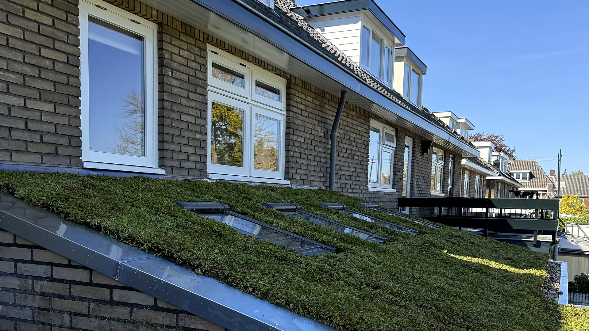 Sedumdak op een woning in Noord-Holland, aangelegd door Groendak Sedum