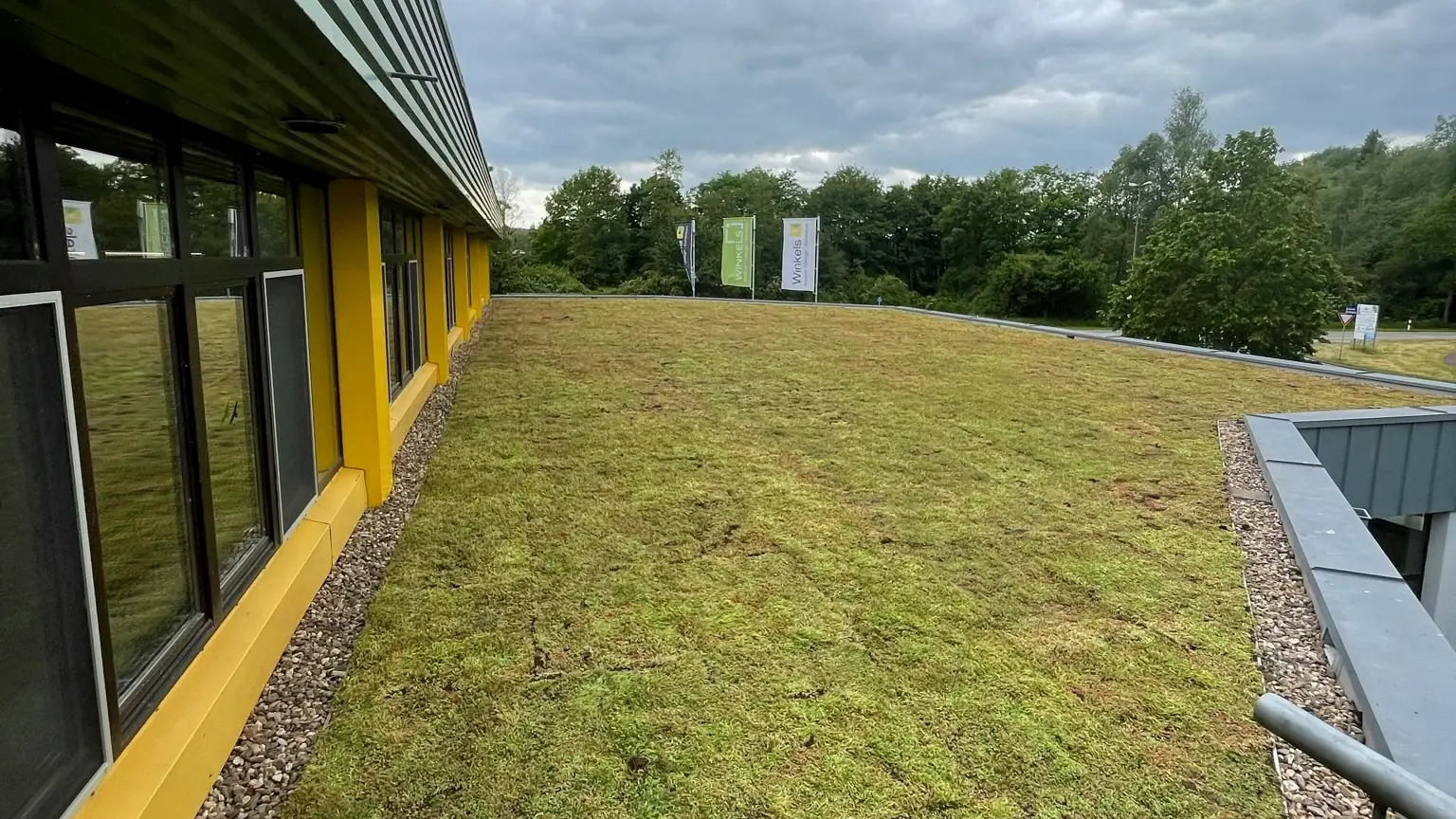 Sedumdak op een bedrijfspand, aangelegd door Groendak Sedum