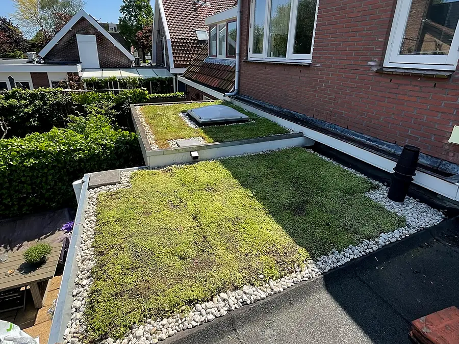 Plat sedumdak op twee niveaus, met lichtkoepel en witte grindrand