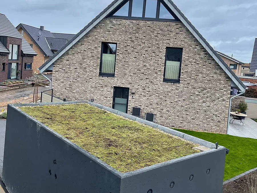 Sedumdak op een donkergrijze berging in de tuin