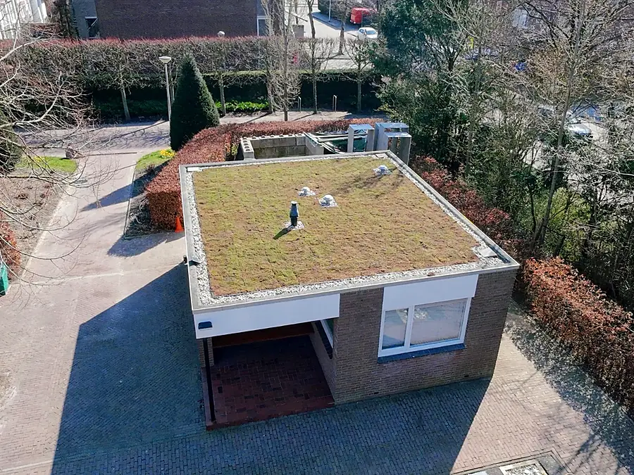 Sedumdak op een garage, van bovenaf gezien