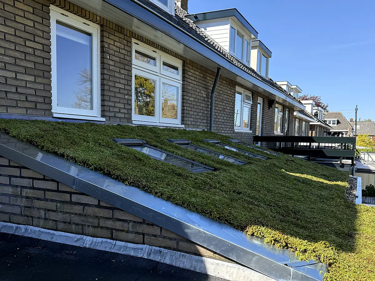 Hellend sedumdak op een woning
