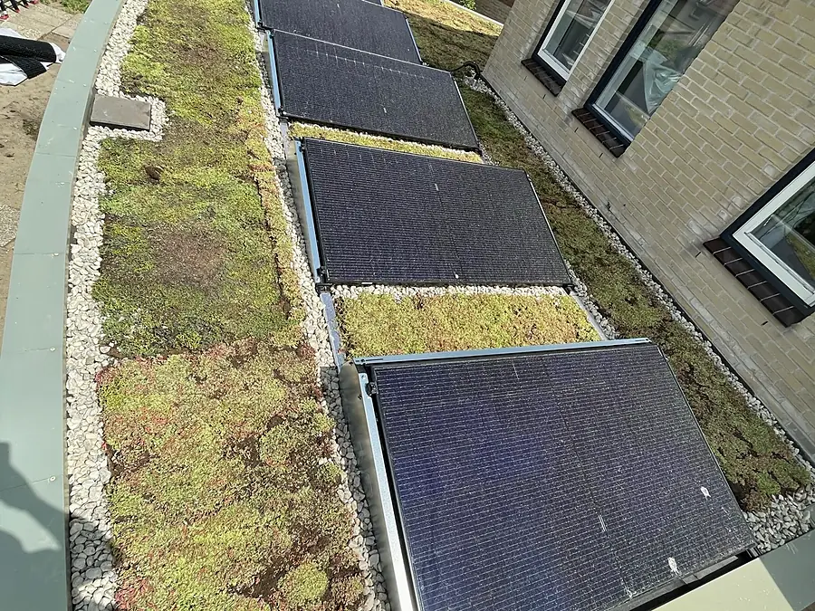 Plat sedumdak met een rij zonnepanelen op een woning