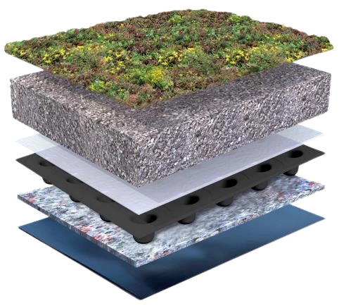 Doorsnede sedumdak: vegetatie, substraat, filtervlies, drainage, beschermlaag