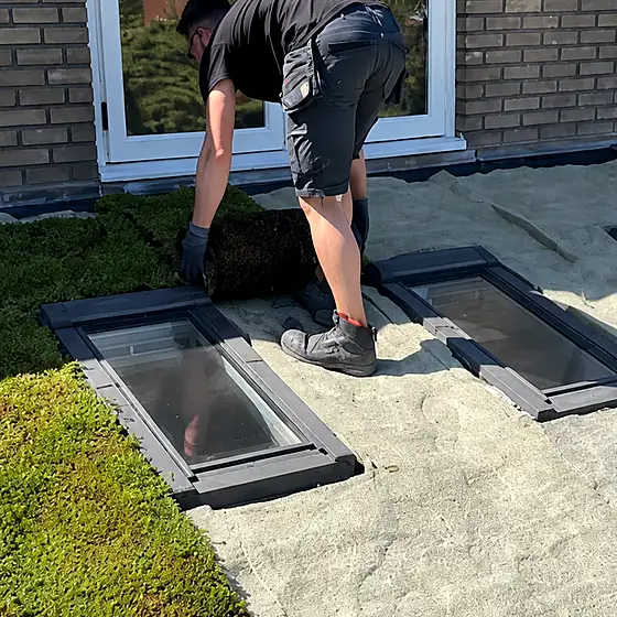 Sedummat wordt uitgerold op het dak tijdens de aanleg